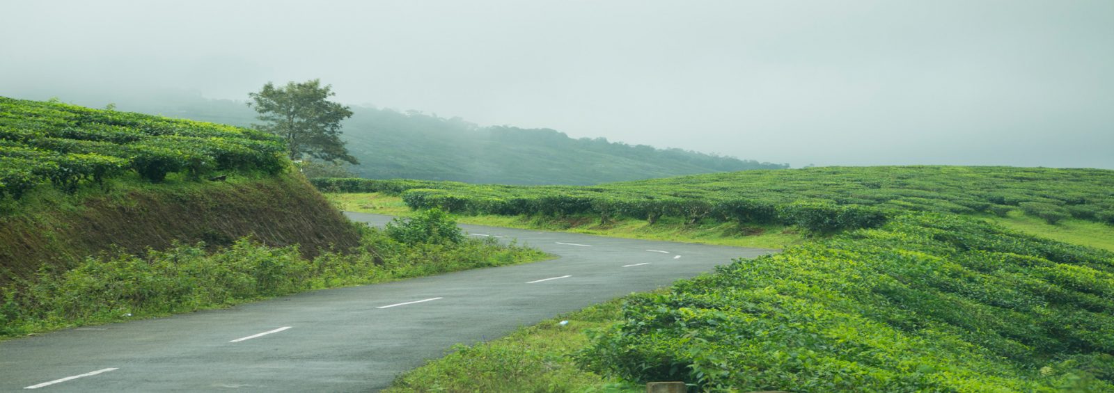 Places to visit in vagamon